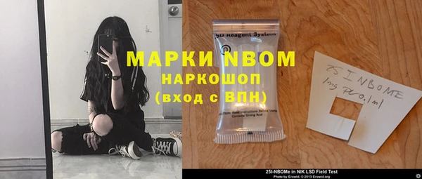 стаф Заводоуковск