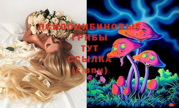 стаф Заводоуковск