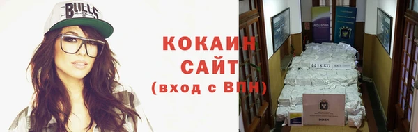 стаф Заводоуковск