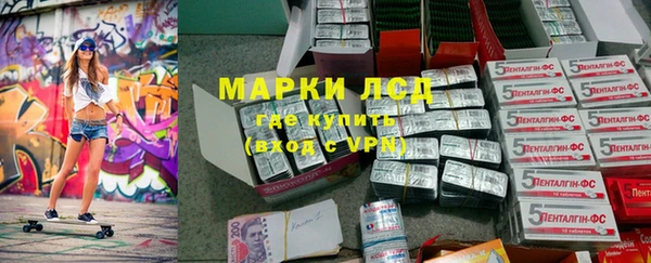 стаф Заводоуковск