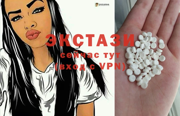 стаф Заводоуковск