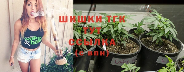 стаф Заводоуковск