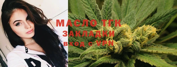 стаф Заводоуковск